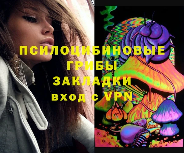 молекула духа Балахна