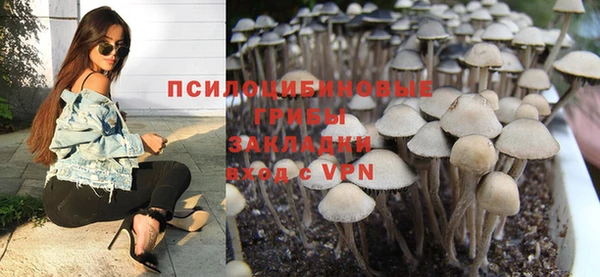 apvp Баксан
