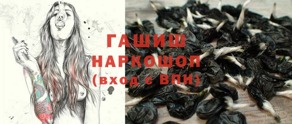 молекула духа Балахна
